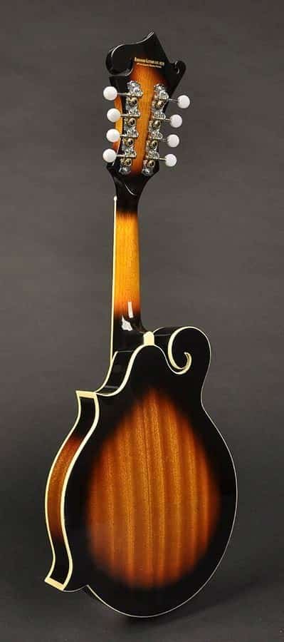 Richwwod RMF-60 Mandolin - Billede 2