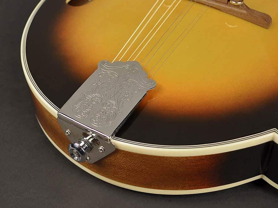 Richwwod RMF-60 Mandolin - Billede 4