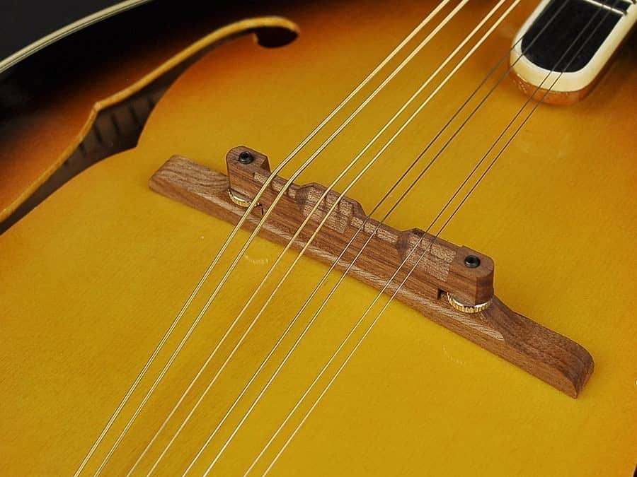 Richwwod RMF-60 Mandolin - Billede 5
