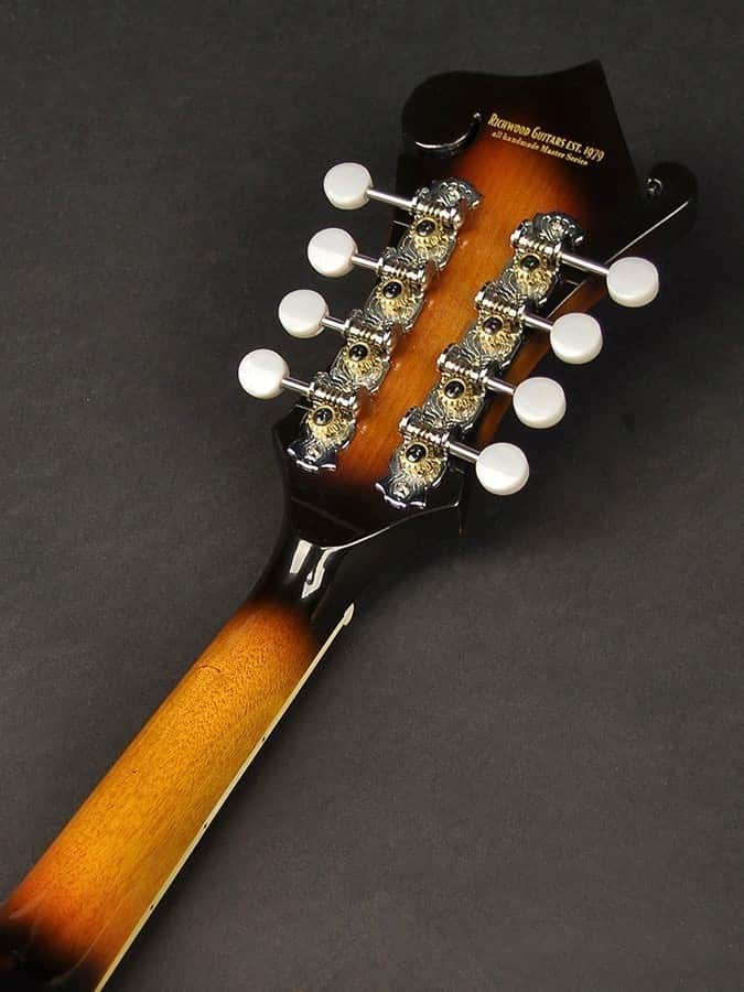 Richwwod RMF-60 Mandolin - Billede 6