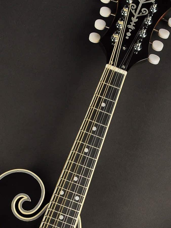 Richwwod RMF-60 Mandolin - Billede 7