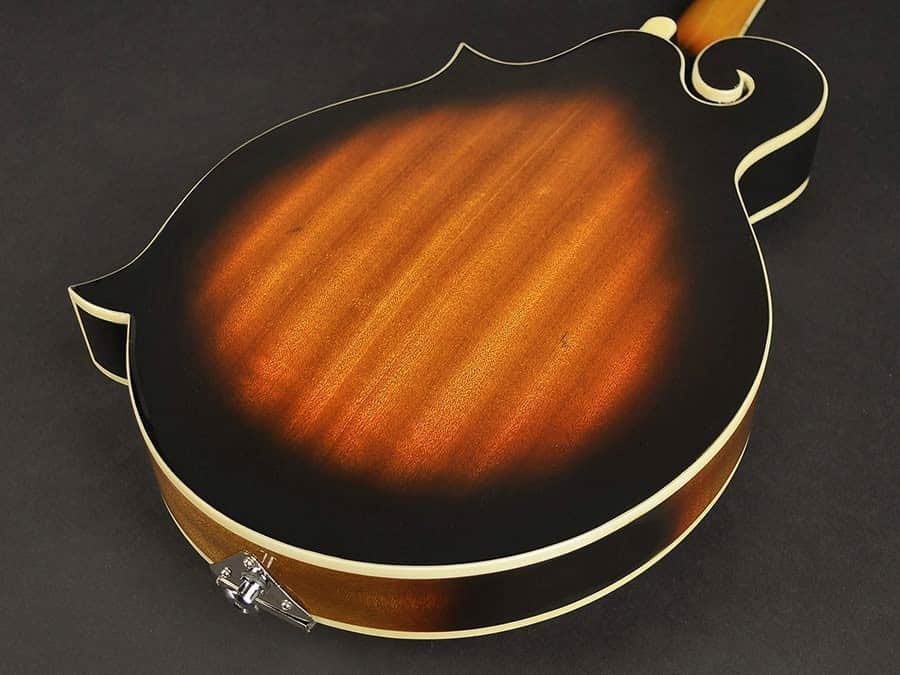 Richwwod RMF-60 Mandolin - Billede 8