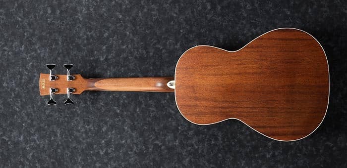 Ibanez Akustisk Bas Parlor med Mikrofon - Billede 5