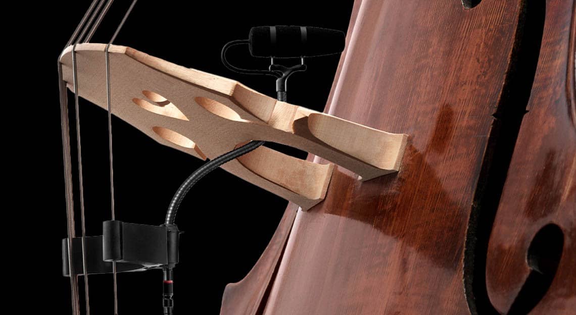 4099-and-Clip-Double-Bass