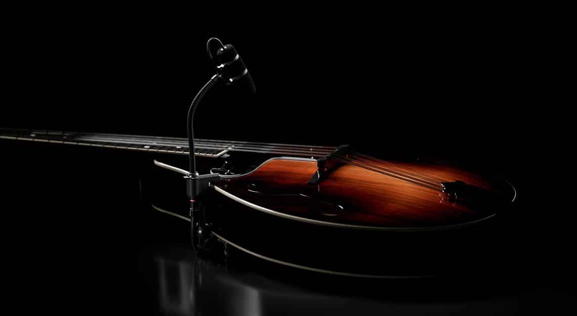 4099-and-Clip-Mandolin1